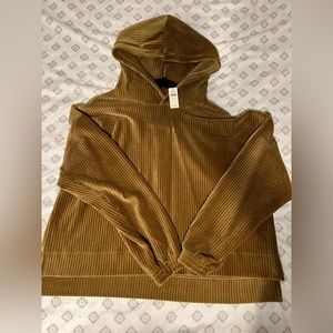 Aerie velour hoodie